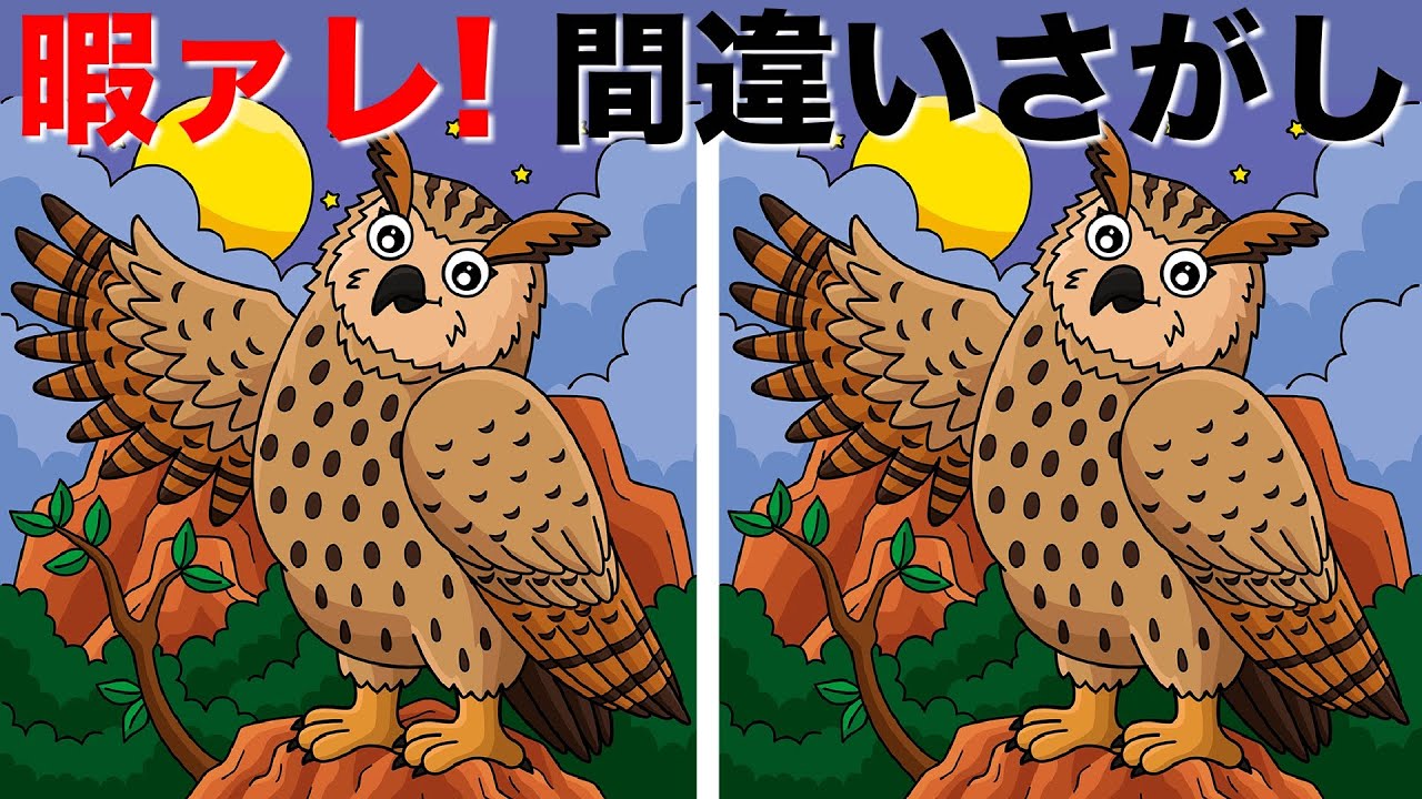 【間違い探しクイズ】脳の活性化に役立つまちがい探し！イラストの3つのまちがいを90秒で探してね！激ムズ・全問難問イラストのまちがい探し！まちがいさがしで老化防止・アハ体験！【脳トレ】