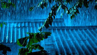 Download Lagu (Geen Advertenties) Alles Wat Je Nodig Hebt Om Meteen In Slaap Te Vallen Met Zware Regen En Onwee... MP3