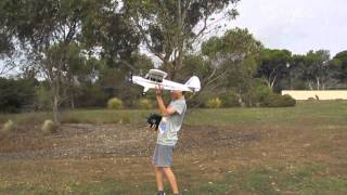 The Crash (Super Cub)