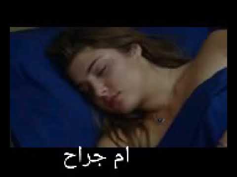 زيد الحبيب عاشت ايدك