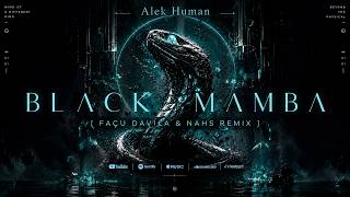 Alek Human - Black Mamba (FACU DAVILA DJ & NAHS Remix Radio Edit)