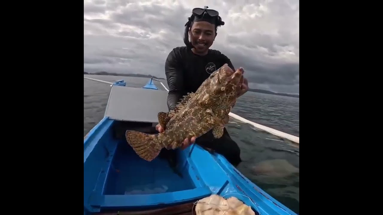 Perangkap kerang nya di kasih pancing biar ikan krapunya mau makan umpang 