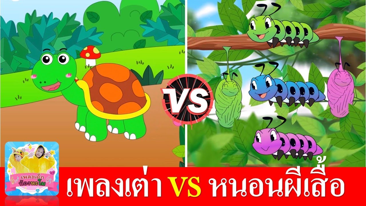 เพลงเต่า vs เพลงหนอนผีเสื้อ | เพลงเด็กในตำนาน สื่อการเรียนการสอนเด็กอนุบาล | เรียนเรื่องสัตว์