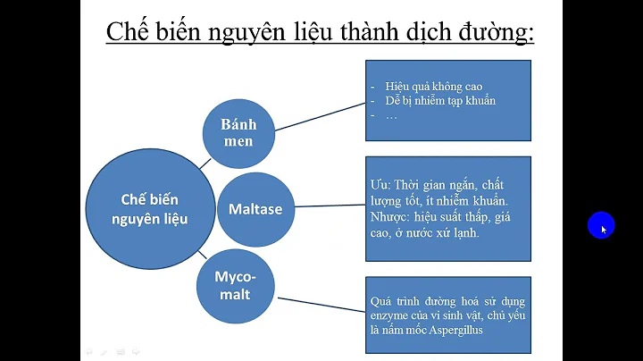 Top 10 sản phẩm của quá trình lên men rượu là