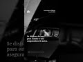 Se Disfrazan de Oso para Estafar a una  Aseguradora de Autos