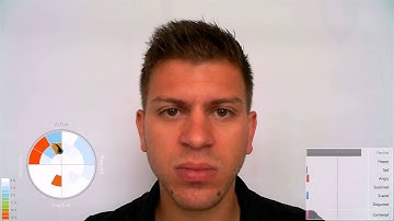 Noldus - FaceReader Classifications Demo