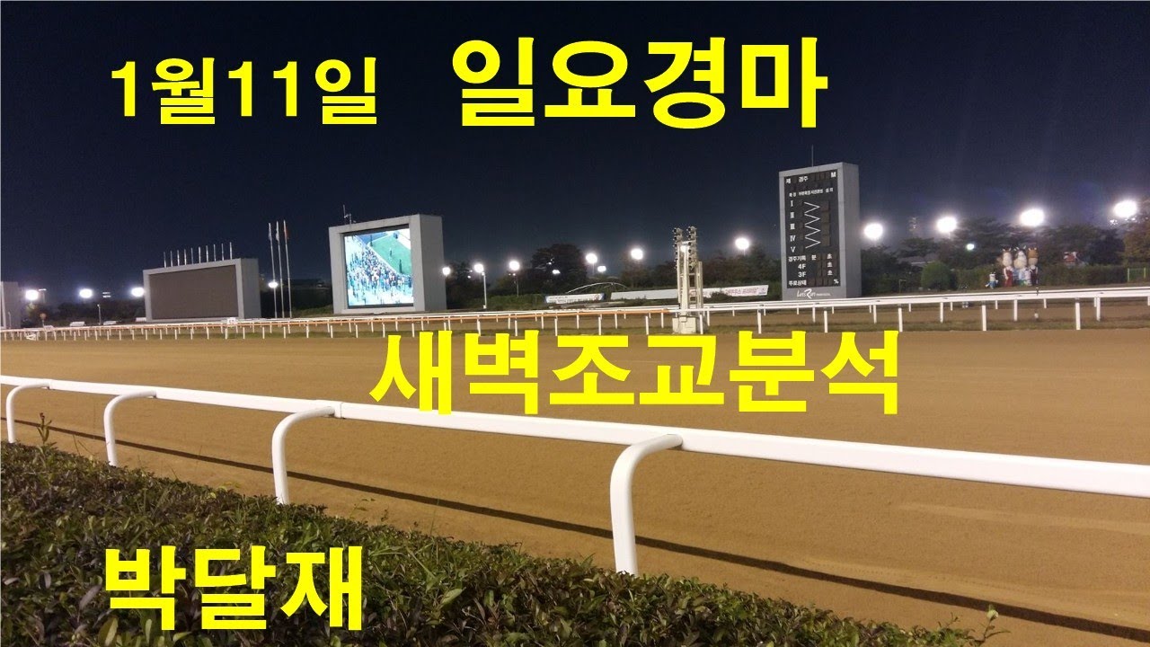 1월11일 일요경마 새벽조교분석 경마예상 추천마번 복병마 배당마 온종일 라이브 방송 서울경마 부경경마 경주분석 추천마번 예상방송 박달재