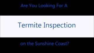 Termite Inspections Sunshine Coast | Call Aussie Pest Control 5443\3035