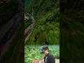 fpv waterfall dive #drone #dji #fpvdrone #cinematicfpv #dronelife #beltfpv #gopro #travel #shorts
