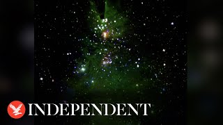 Nasa telescope captures green Christmas tree-shaped cluster of stars lighting up