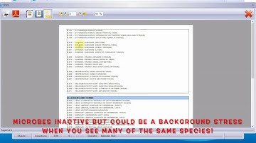 Sensitiv Imago (SI) Key Concepts:Conclusion Report Explained: Part 2