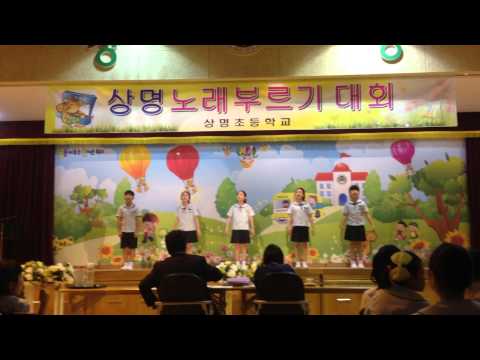 IMG 43491
