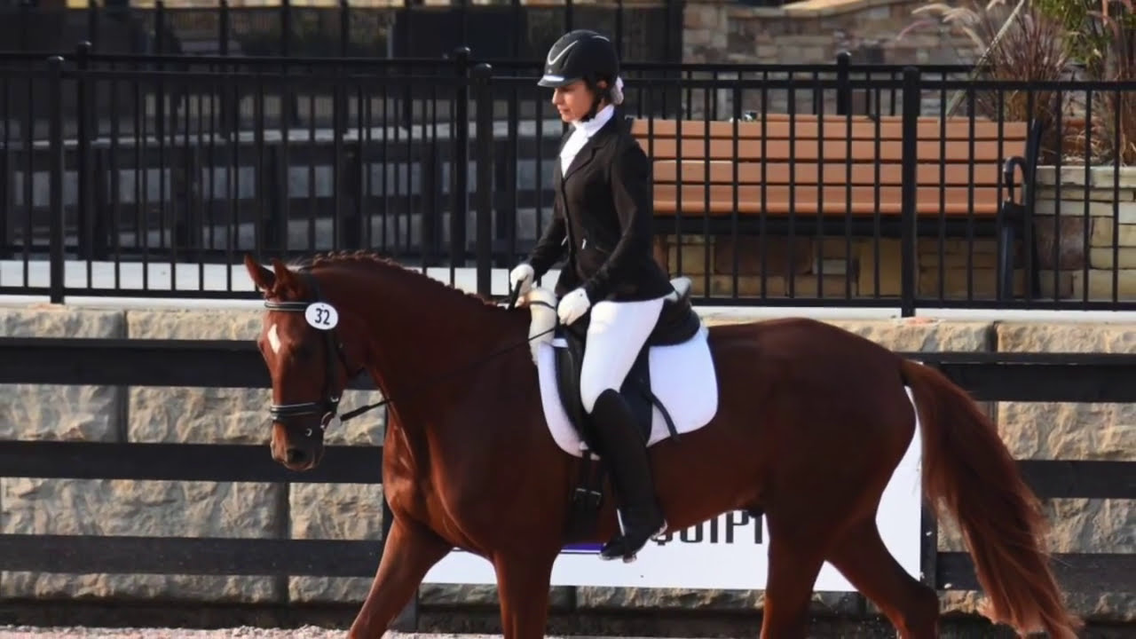 Greenville SC Horse Property/ Tryon International Equestrian Center