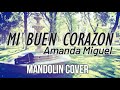 MI BUEN CORAZON  (Amanda Miguel)  -  MANDOLIN COVER