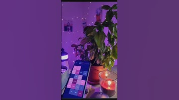 Plants, cubes & colors 🌱 My indie game dev journey 🎮