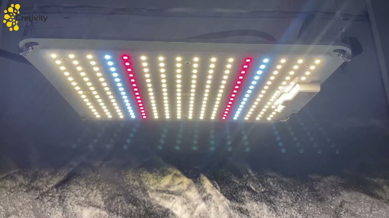 QII 120W Quantum Board Full Spectrum LED Grow Light
