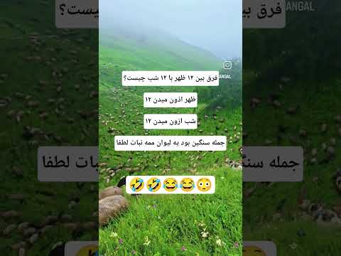 جوک بی خزی بود خودم قبول دارم 