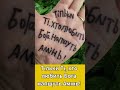 Тільки Ті хто любить Бога напшуть Амінь Тільки Ті хто любить Бога напшуть Амінь