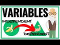 Dependent Variable and Independent Variables (Made Easy) 📊