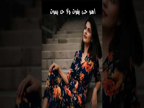 أهو حب يفوت ولا حد يموت Official Song 2025