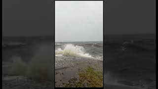 Hurricane Helene - Downtown St Pete #stormsurge  #florida #surge #hurricane #helene #storm  #stpete