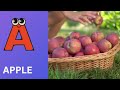 ABC Phonics Song | Alphabet letter sounds | ABC learning for toddlers | Education ABC Nursery Rhymes