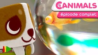 Canimals - 44 - Le Poisson Rouge