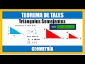 TEOREMA DE TALES - Matemáticas