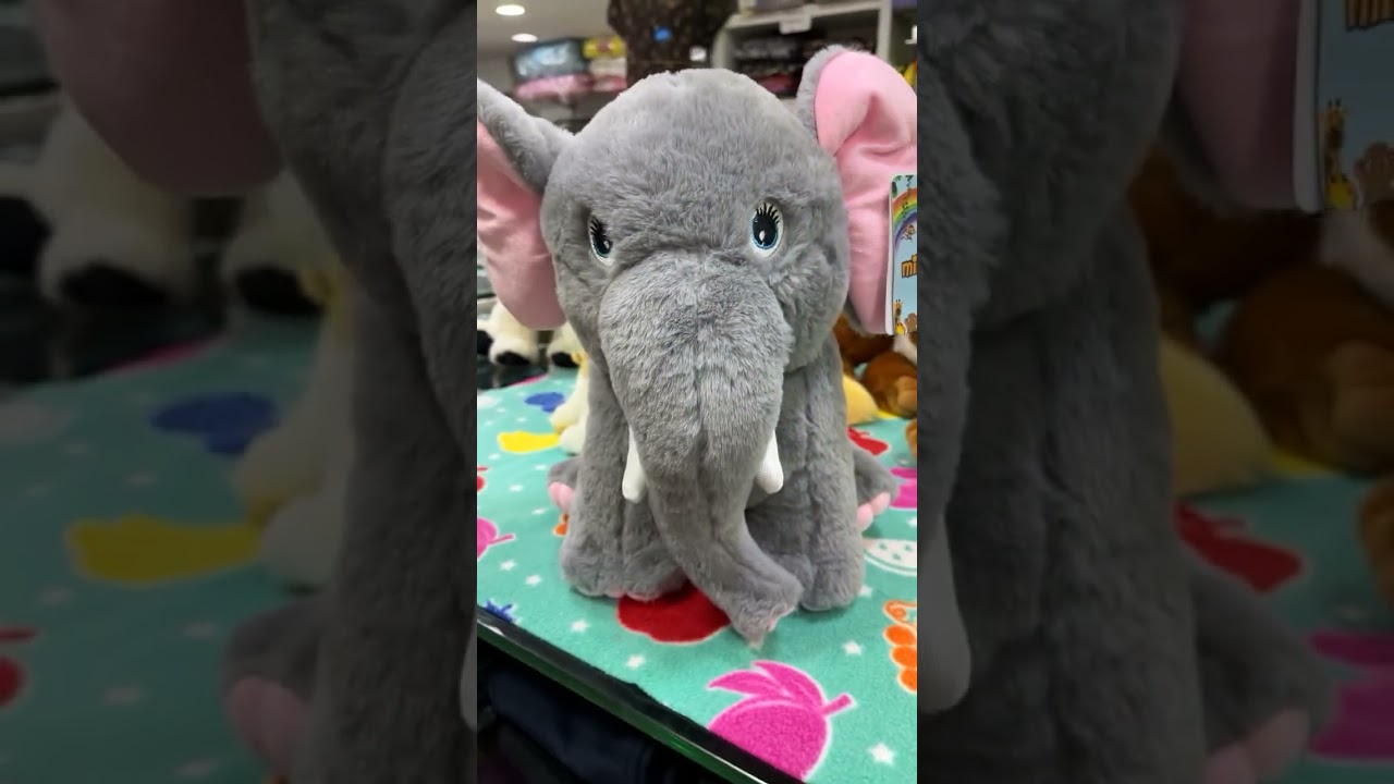 Wild animal soft toys 🧸