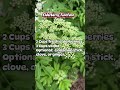 Elderberry Tincture #elderberry