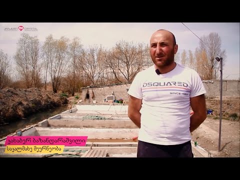 ნაბიჯი ბედნიერებისკენ - კახაბერ ბაზანდარაშვილი #4