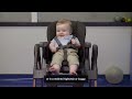 Brachiocephaly and Plagiocephaly