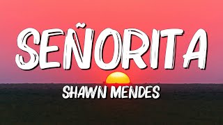 Senorita  Shawn Mendes (Lyrics) || David Kushner , Ava Max... (MixLyrics)