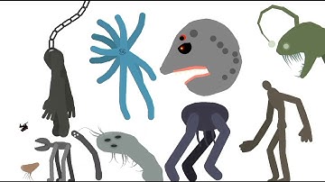 Eternal Size Comparison