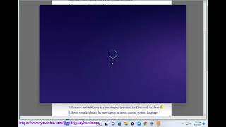 Fix Left Alt key and Windows key are swapped on Windows