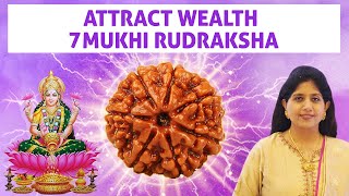 7 Mukhi Rudraksha Benefits | Attract Wealth Abundance & Luck With Saat Mukhi Rudraksha
