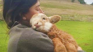 When Animals Are Always Excited To See His Human Best Friend - Funniest Animals and Pets