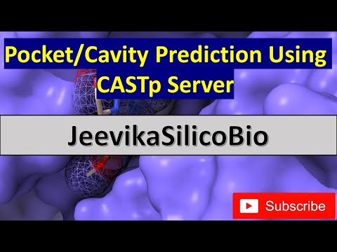 Pocket/Cavity Prediction Using CASTp server