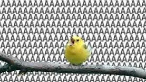 AAAAAAAAAAAAAAAAAAAAAAAAAAAAAAAAAAA