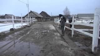 видео Почвы городских территорий.