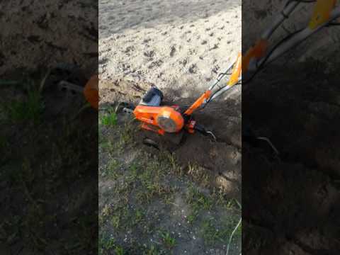 Культиватор Daewoo DAT 2500E Культиватор Daewoo DAT 2500E