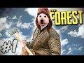 The Forest - Gameplay / Walkthrough / Playthrough - Part 1 - WE MUST SAVE TIMMY!