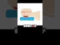日本人が誤解している枕の使い方  #shorts