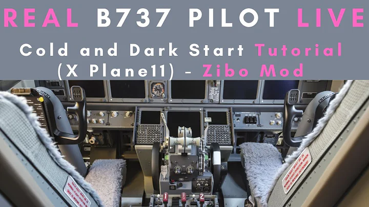 Zibo Mod | Real B737 Pilot | Cold and Dark Start Live Tutorial - DayDayNews