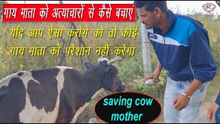गाय माता को अत्याचारों से बचाने का super idea अब नहीं होगा गाय माता के ऊपर अत्याचार || save cow