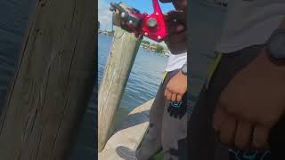 PB GAR CATCH ON UGLYSTIK DOCKRUNNER MINI ROD 52” 4.3 FT WERE OUR MEASUREMENTS 😈😈