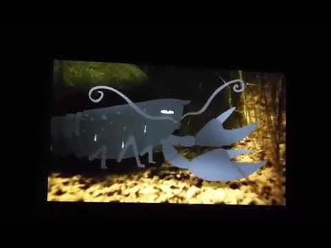 ანიმაციები უცხოეთიდან