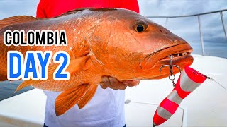 Colombian CUBERA Snappers on top water (DAY 2)
