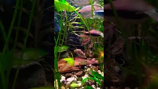 водный  дворец 🐌🐚🐟🐠
