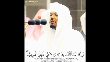 ياسر الدوسري سورة البقرة (وإذا سألك عبادى عنى فإنى قريب اجيب دعوة الداع إذا دعان)